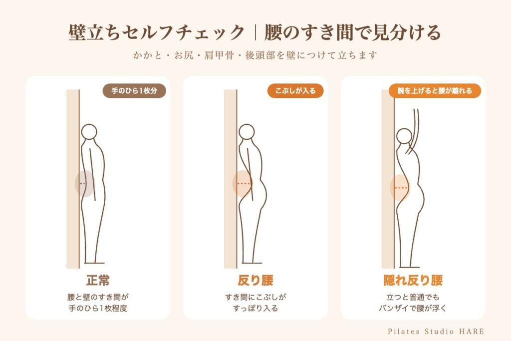 壁立ちで腰のすき間を確認する隠れ反り腰セルフチェック(正常・反り腰・隠れ反り腰)